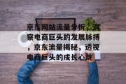 京东网站流量分析，洞察电商巨头的发展脉搏，京东流量揭秘，透视电商巨头的成长心跳