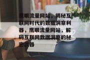 鹰眼流量网站，揭秘互联网时代的数据洞察利器，鹰眼流量网站，解码互联网数据洞察的秘密武器