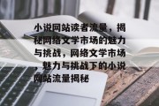 小说网站读者流量，揭秘网络文学市场的魅力与挑战，网络文学市场，魅力与挑战下的小说网站流量揭秘