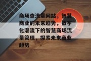 商场查流量网站，智慧商业的未来趋势，数字化潮流下的智慧商场流量管理，探索未来商业趋势