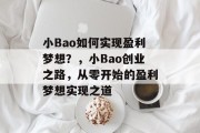 小Bao如何实现盈利梦想?,小Bao创业之路,从零开始的盈利梦想实现之道 小Bao如何实现盈利梦想?,小Bao创业之路,从零开始的盈利梦想实现之道