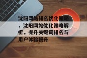 沈阳网站排名优化策略，沈阳网站优化策略解析，提升关键词排名与用户体验提升