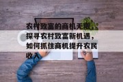 农村致富的商机无限,探寻农村致富新机遇,如何抓住商机提升农民收入 农村致富的商机无限,探寻农村致富新机遇,如何抓住商机提升农民收入