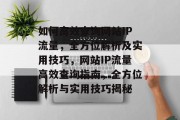 如何高效查询网站IP流量，全方位解析及实用技巧，网站IP流量高效查询指南，全方位解析与实用技巧揭秘