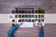 在西藏做什么生意赚钱,在西藏赚钱的生意机会,藏药与旅游产业开发