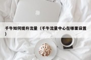 千牛如何提升流量（千牛流量中心在哪里设置）