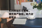 B2B网站优化策略,提升用户体验,助力企业增长 B2B网站优化策略,提升用户体验,助力企业增长