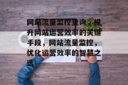 网站流量监控查询，提升网站运营效率的关键手段，网站流量监控，优化运营效率的智慧之选