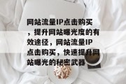 网站流量IP点击购买，提升网站曝光度的有效途径，网站流量IP点击购买，快速提升网站曝光的秘密武器