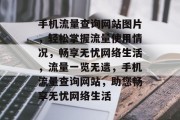 手机流量查询网站图片，轻松掌握流量使用情况，畅享无忧网络生活，流量一览无遗，手机流量查询网站，助您畅享无忧网络生活