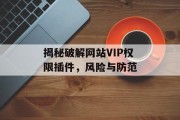 揭秘破解网站VIP权限插件,风险与防范 揭秘破解网站VIP权限插件,风险与防范