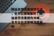 网站自然流量如何引流，全方位策略解析，网站自然流量提升攻略，全方位引流策略深度解析