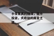 小生意真的赚钱，微小投资，大收益的商业之道
