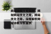 网站诊断分析案例，揭秘网站优化之路，网站优化之路，深度解析网站诊断分析案例