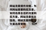 网站流量提升攻略，为何网站需要购买流量，如何选择合适的流量购买方案，网站流量优化指南，揭秘流量购买与方案选择策略