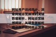 网站用户访问统计，洞察网站运营脉搏的关键数据解析，网站运营脉搏揭秘，关键数据解析揭示用户访问统计洞察