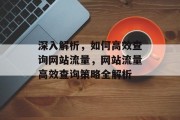 深入解析，如何高效查询网站流量，网站流量高效查询策略全解析