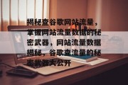 揭秘查谷歌网站流量，掌握网站流量数据的秘密武器，网站流量数据揭秘，谷歌查流量的秘密武器大公开