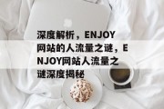 深度解析，ENJOY网站的人流量之谜，ENJOY网站人流量之谜深度揭秘
