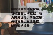 网站流量统计全攻略，轻松查看出访数据，助力网站优化，网站流量分析宝典，掌握数据，优化网站流量