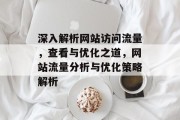 深入解析网站访问流量，查看与优化之道，网站流量分析与优化策略解析