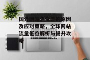 国外网站流量差的原因及应对策略，全球网站流量低谷解析与提升攻略