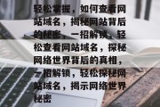 轻松掌握，如何查看网站域名，揭秘网站背后的秘密，一招解锁，轻松查看网站域名，探秘网络世界背后的真相，一招解锁，轻松探秘网站域名，揭示网络世界秘密