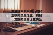 流量极大的网站，揭秘互联网流量之王，揭秘，互联网流量之王网站大揭秘