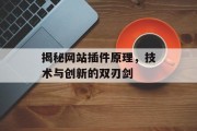 揭秘网站插件原理,技术与创新的双刃剑 揭秘网站插件原理,技术与创新的双刃剑