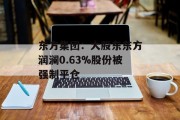 东方集团:大股东东方润澜0.63%股份被强制平仓 东方集团:大股东东方润澜0.63%股份被强制平仓