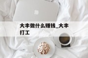 大丰做什么赚钱_大丰打工