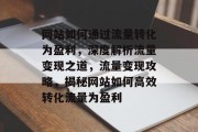 网站如何通过流量转化为盈利，深度解析流量变现之道，流量变现攻略，揭秘网站如何高效转化流量为盈利