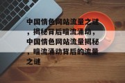 中国情色网站流量之谜，揭秘背后暗流涌动，中国情色网站流量揭秘，暗流涌动背后的流量之谜
