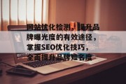 网站优化检测,提升品牌曝光度的有效途径,掌握SEO优化技巧,全面提升品牌知名度 网站优化检测,提升品牌曝光度的有效途径,掌握SEO优化技巧,全面提升品牌知名度