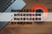 揭秘网站流量与点击量，如何实现双增长策略，网站流量与点击量双增长策略大揭秘