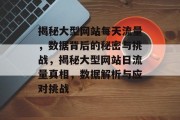 揭秘大型网站每天流量，数据背后的秘密与挑战，揭秘大型网站日流量真相，数据解析与应对挑战