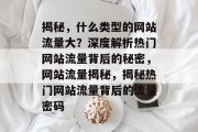 揭秘，什么类型的网站流量大？深度解析热门网站流量背后的秘密，网站流量揭秘，揭秘热门网站流量背后的流量密码