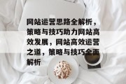 网站运营思路全解析，策略与技巧助力网站高效发展，网站高效运营之道，策略与技巧全面解析
