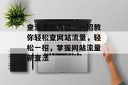 查流量新方式，一招教你轻松查网站流量，轻松一招，掌握网站流量新查法