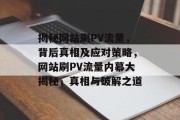 揭秘网站刷PV流量，背后真相及应对策略，网站刷PV流量内幕大揭秘，真相与破解之道