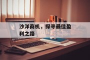 沙洋商机,探寻最佳盈利之路