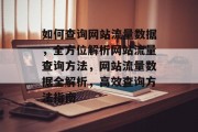 如何查询网站流量数据，全方位解析网站流量查询方法，网站流量数据全解析，高效查询方法指南