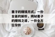 妻子的赚钱方式,一份全面的解析,揭秘妻子的赚钱之道,一份全方位分析 妻子的赚钱方式,一份全面的解析,揭秘妻子的赚钱之道,一份全方位分析