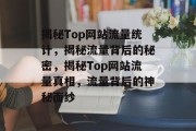 揭秘Top网站流量统计，揭秘流量背后的秘密，揭秘Top网站流量真相，流量背后的神秘面纱