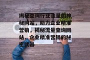揭秘查询行业流量的神秘网站，助力企业精准营销，揭秘流量查询网站，企业精准营销的秘密武器