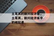 土耳其的新兴经济体，土耳其，新兴经济体中的崛起者