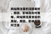 网站限流量的深层解析，原因、影响及应对策略，网站限流量背后的奥秘，原因、影响与应对之道