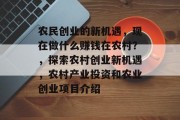 农民创业的新机遇,现在做什么赚钱在农村?,探索农村创业新机遇,农村产业投资和农业创业项目介绍