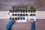 网站实时流量查询系统,洞察流量脉搏,助力企业精准营销 网站实时流量查询系统,洞察流量脉搏,助力企业精准营销