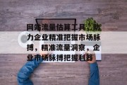 网站流量估算工具，助力企业精准把握市场脉搏，精准流量洞察，企业市场脉搏把握利器